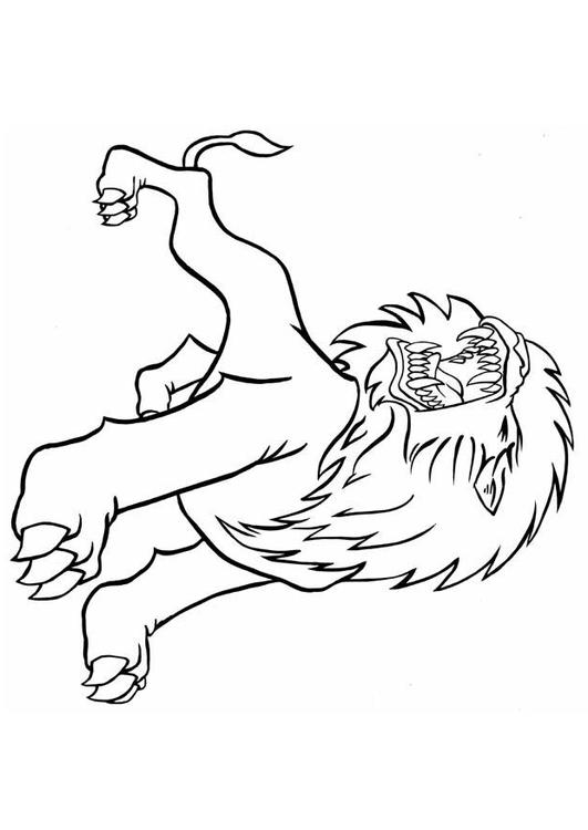 lion fâché