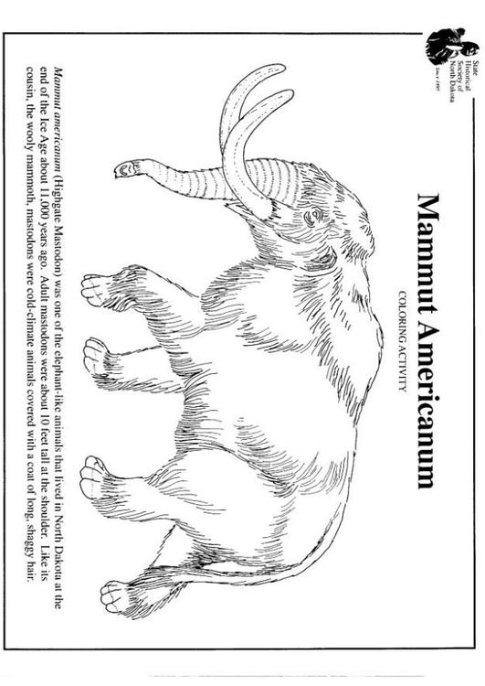 mammouth américain