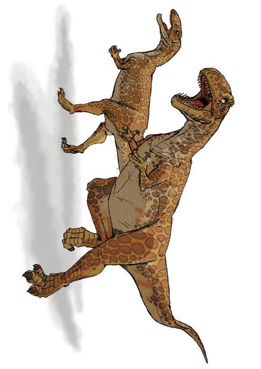 mégalosaure