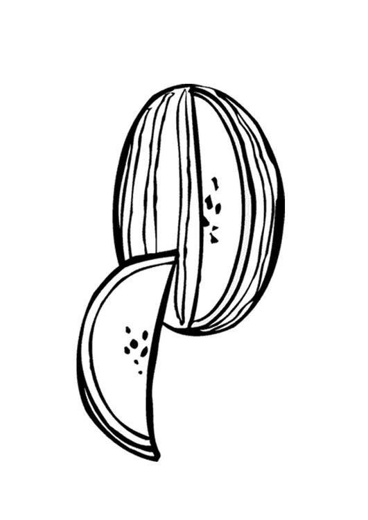 melon
