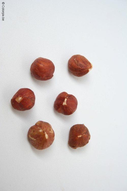 noisettes
