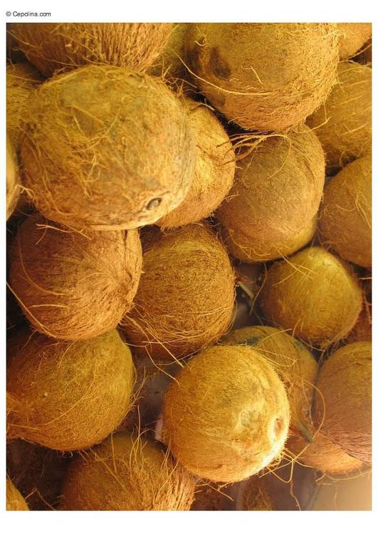 noix de coco