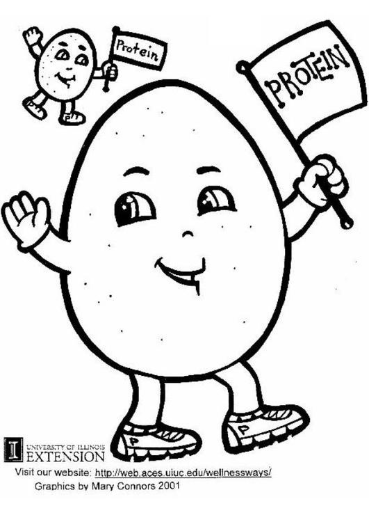 oeuf blanc