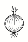 ognion
