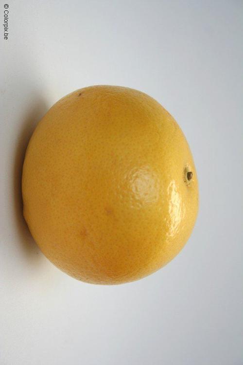 pamplemousse