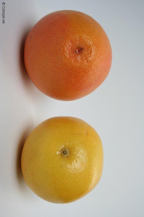 pamplemousses