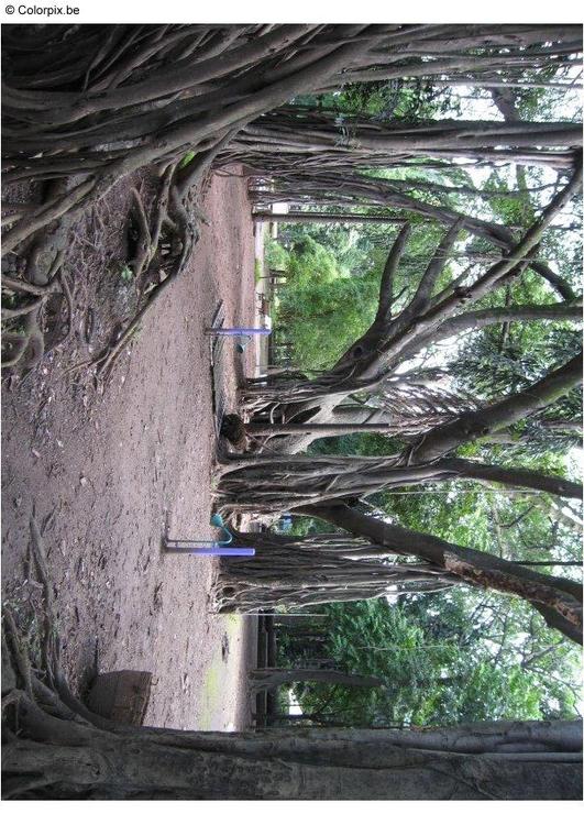 Parc Puna