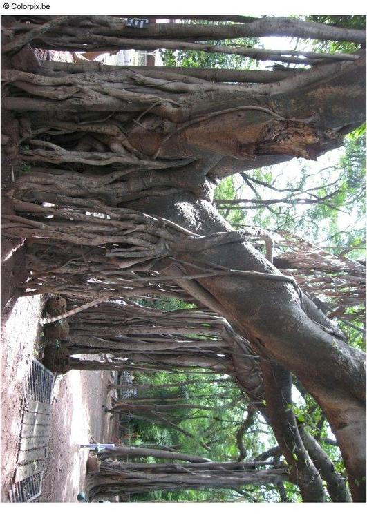 Parc Puna