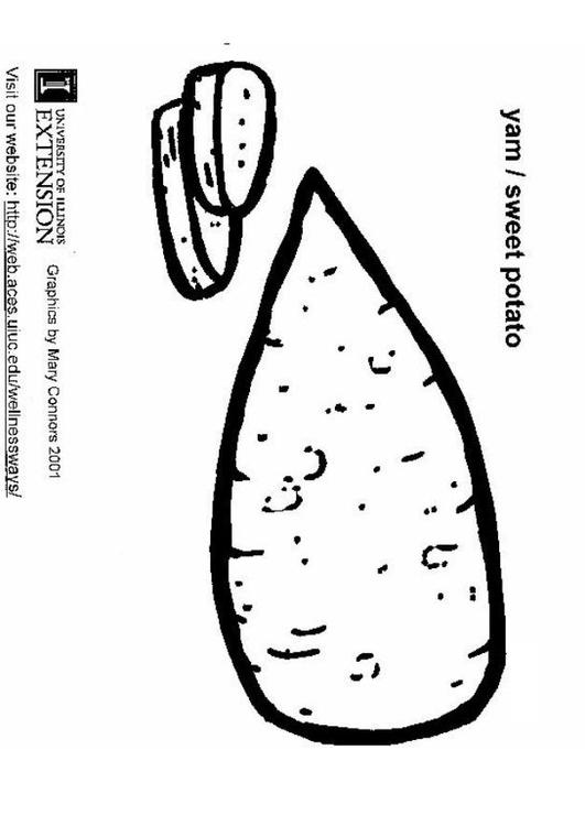 patate douce
