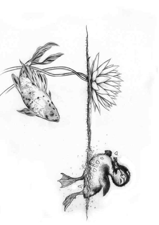 petit canard et poisson