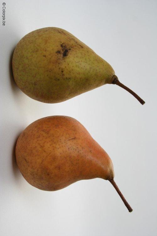 poires