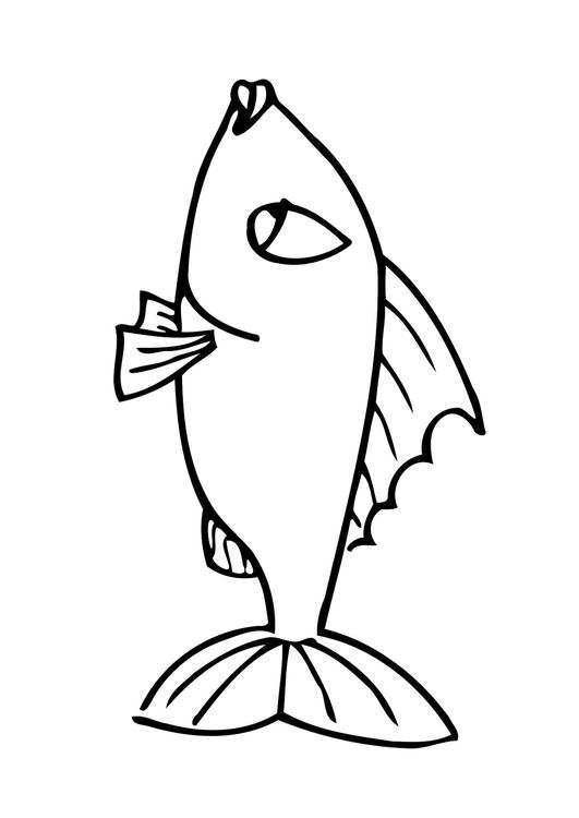 poisson
