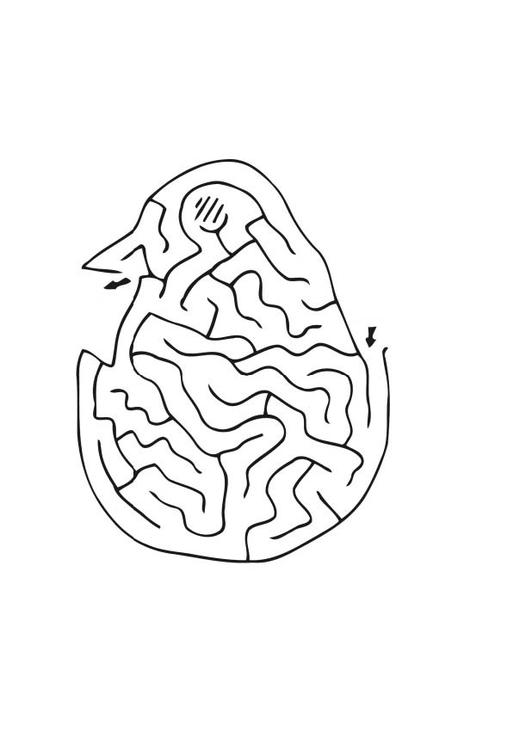 poussin labyrinthe