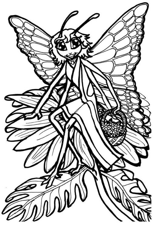 princesse-papillon