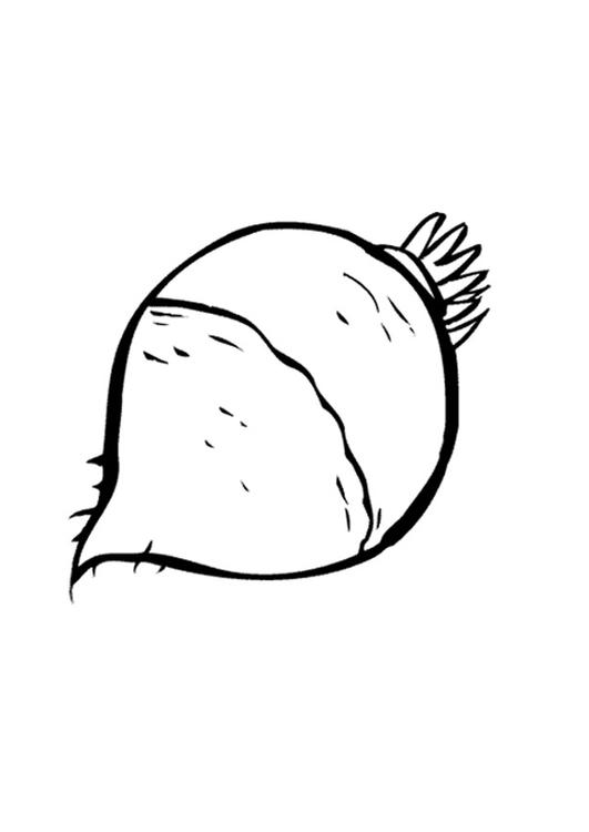 radi