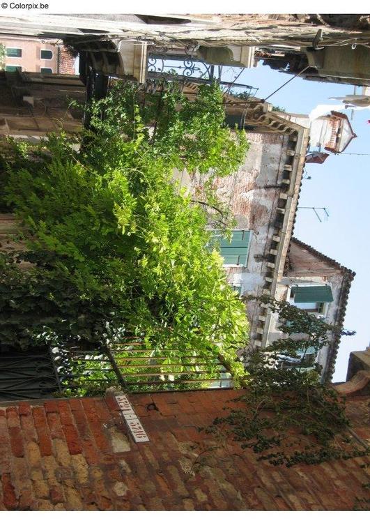 ruelle