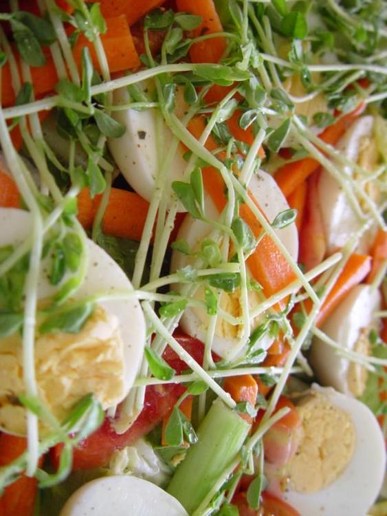 salade