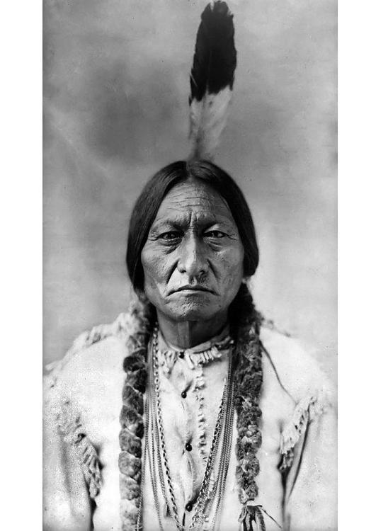 Sitting bull
