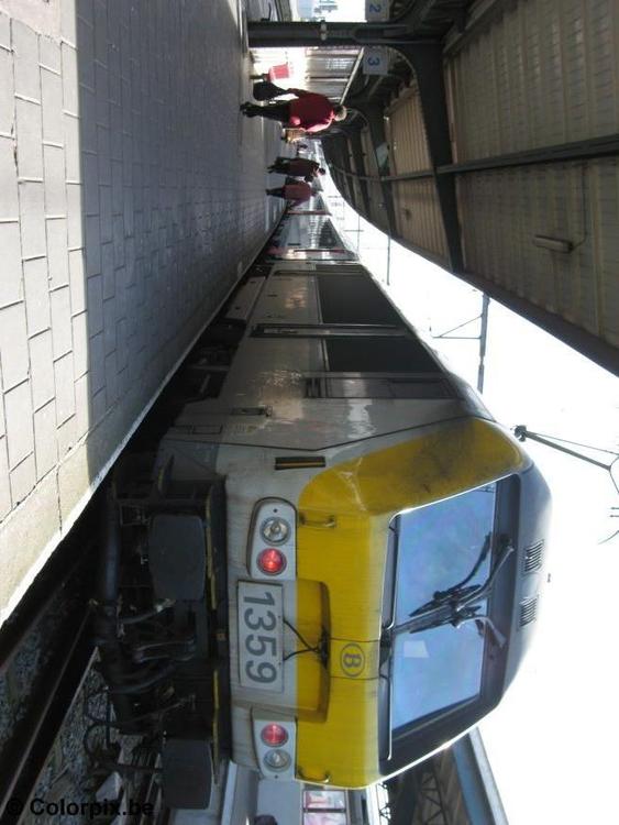 train