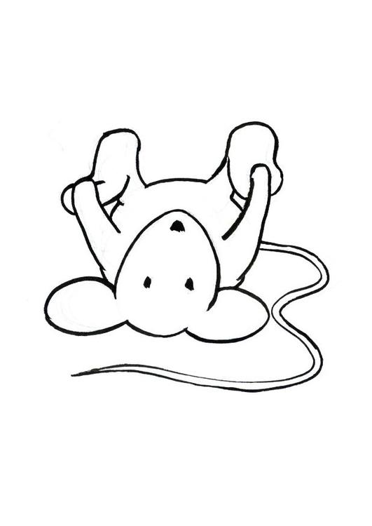 Transi, la souris