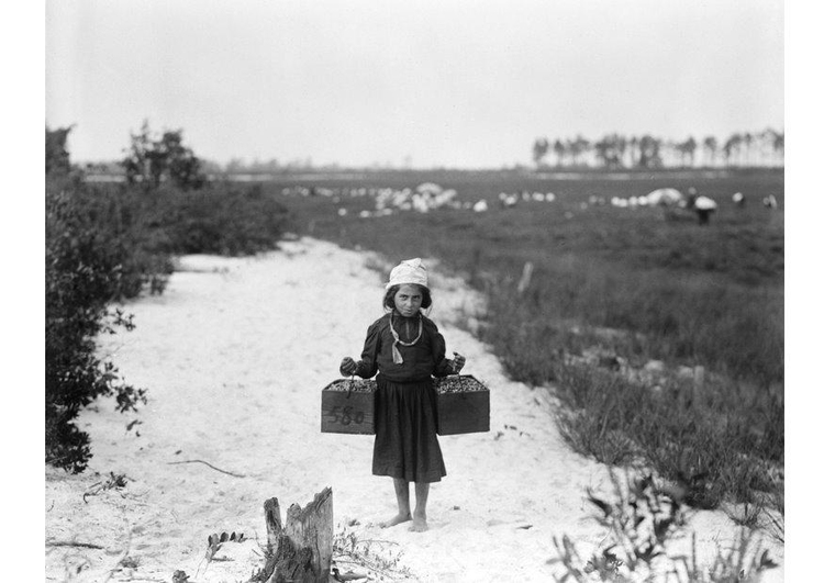 Photo travail des enfants, 1910