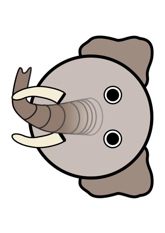 un éléphant