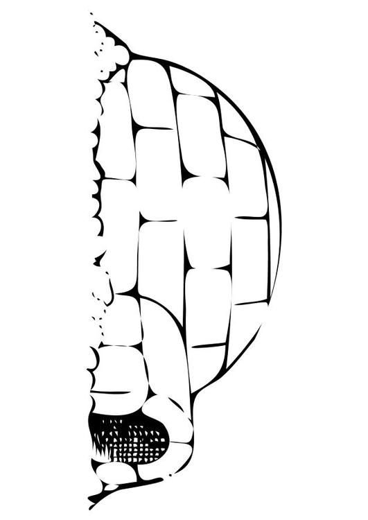 un iglo