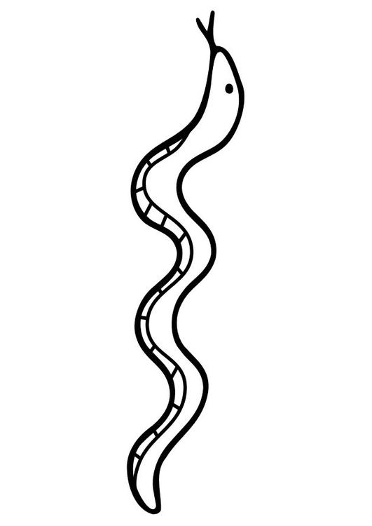 un serpent