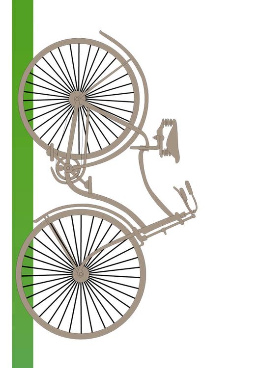 vélo 5