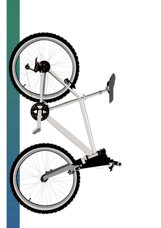 vélo 7