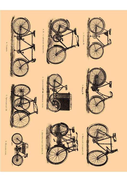 vélos