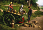 Photos vendeurs de lait avec charrette à chien - Belgique 1890