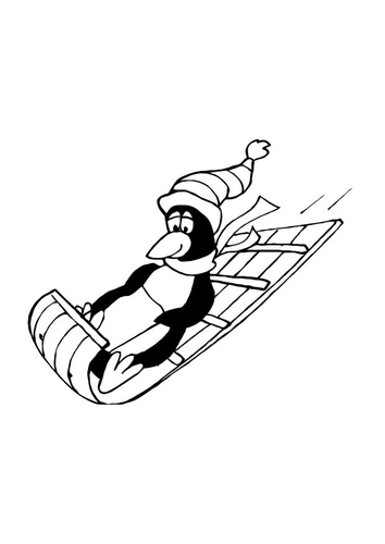pinguin sur lurge