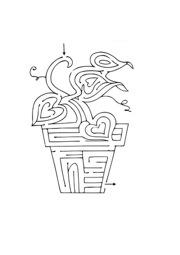 plante labyrinthe