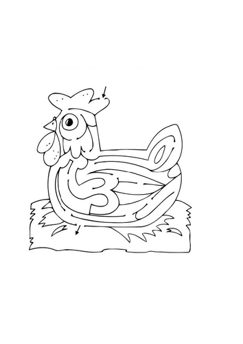 poule layrinthe