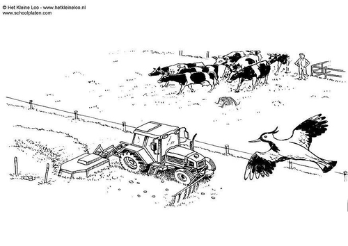 Coloriage pré