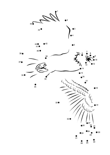 Coloriage pygargue américain