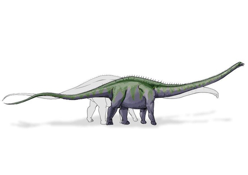 supersaurus