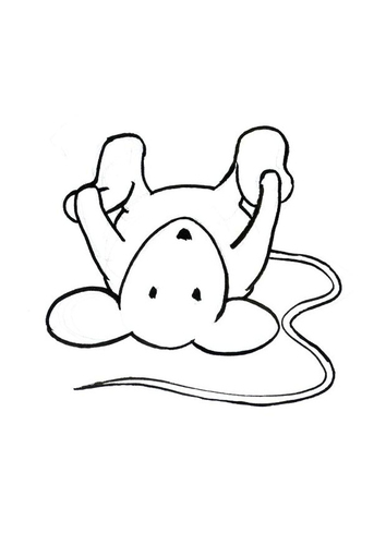 Transi, la souris