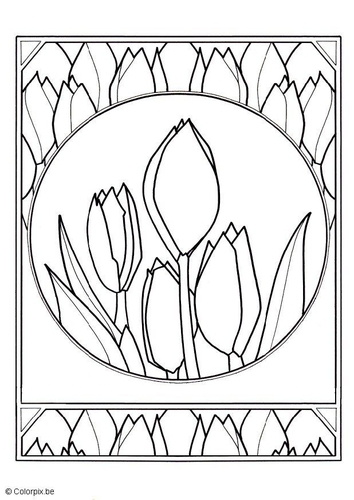 tulipes