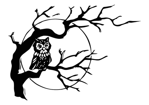un hibou
