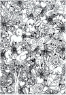 Coloriage animaux dans la forÃªt