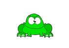 Image grenouille