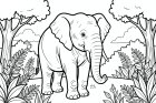 éléphant dans la forêt