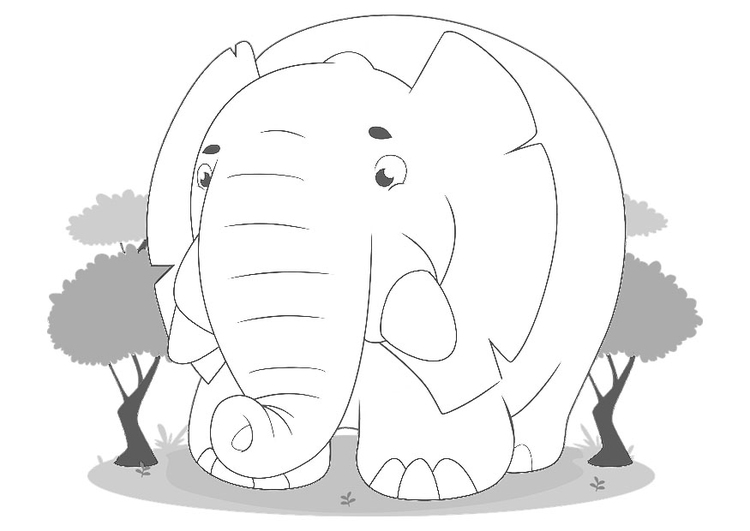 Coloriage Ã©lÃ©phant