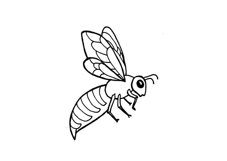 Coloriage abeille