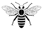 Coloriage abeille
