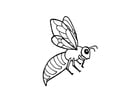 Coloriage abeille