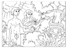 Coloriages Adal et Eve