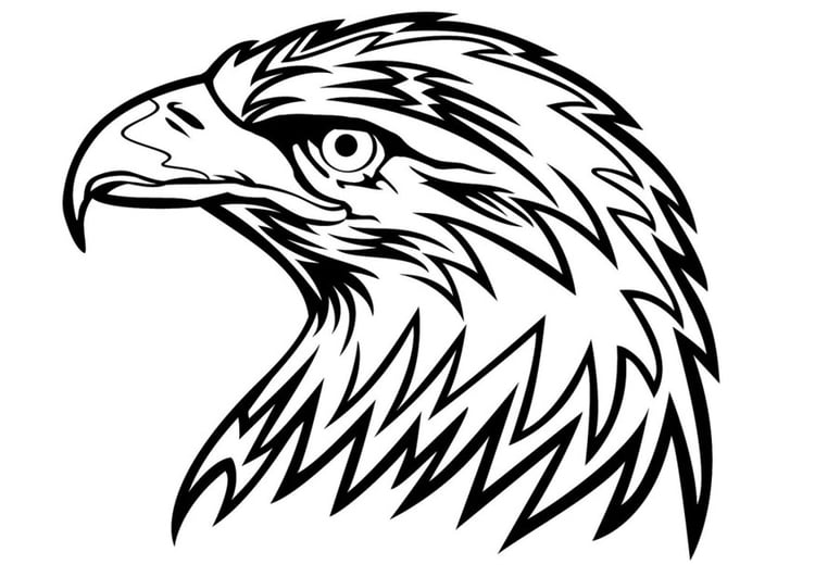 Coloriage aigle